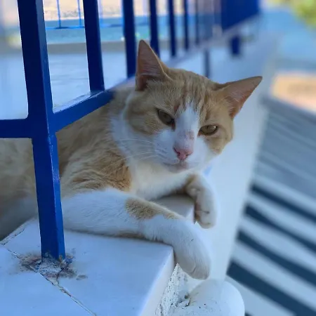 Holiday home The Blue Door *