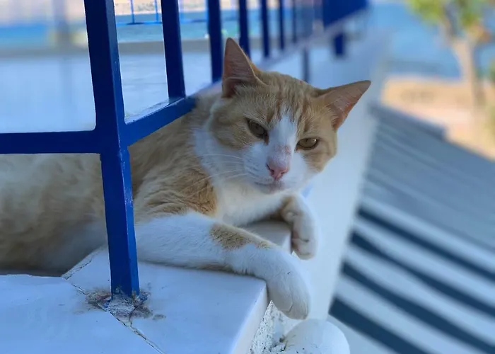 Σπίτι διακοπών The Blue Door *